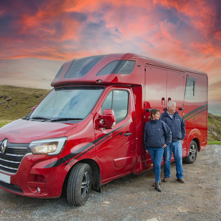 Laund View International Equine Transport Horse Transport