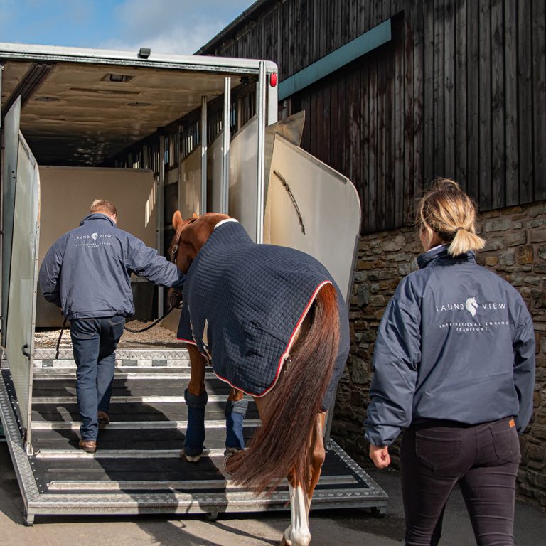 Laund View International Equine Transport Horse Transport