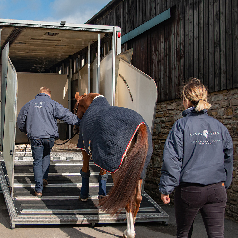 Laund-View-Paul_loading_horse_with_Emma laund view international horse transport loading horse