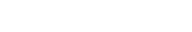 Laund View International Equine Transport